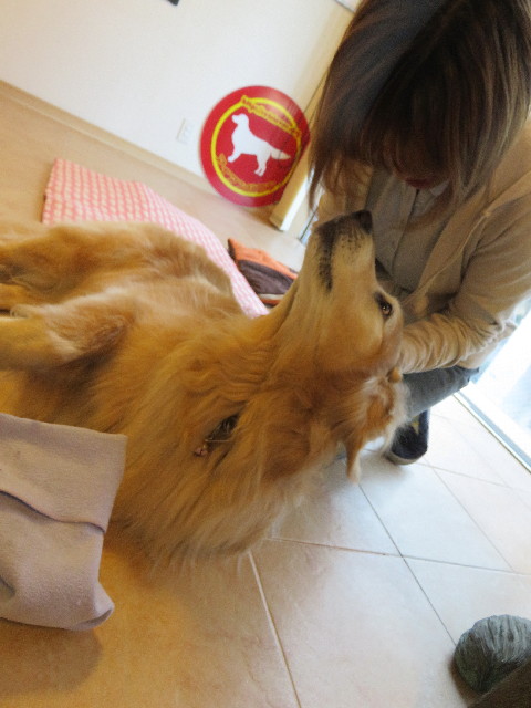 ファイル 5762-4.jpg