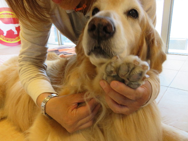 ファイル 5762-5.jpg