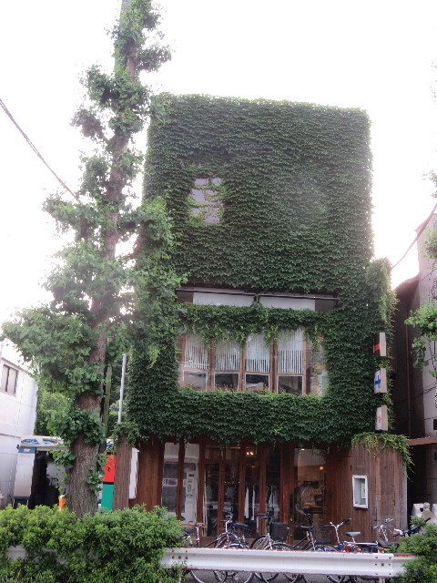 ファイル 5763-4.jpg