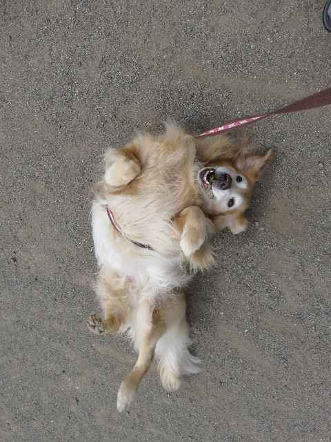 ファイル 5764-2.jpg