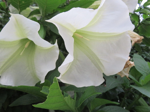 ファイル 5765-5.jpg