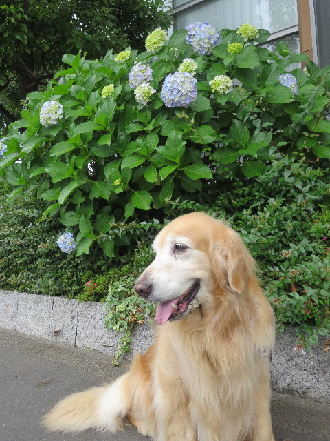 ファイル 5766-3.jpg