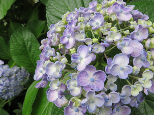 ファイル 5766-5.jpg