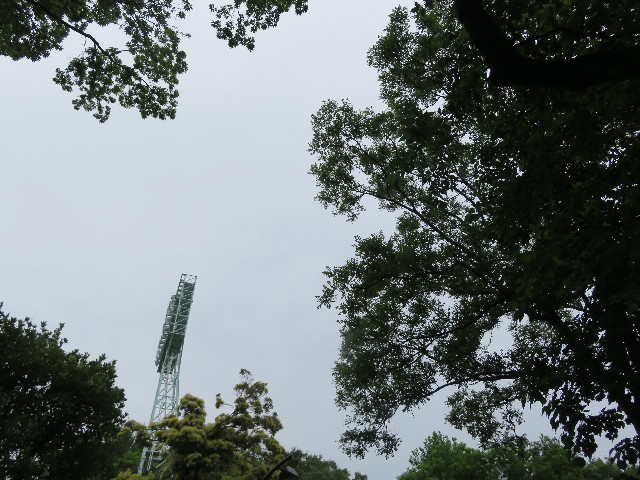 ファイル 5768-1.jpg