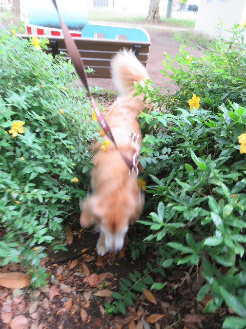 ファイル 5768-4.jpg