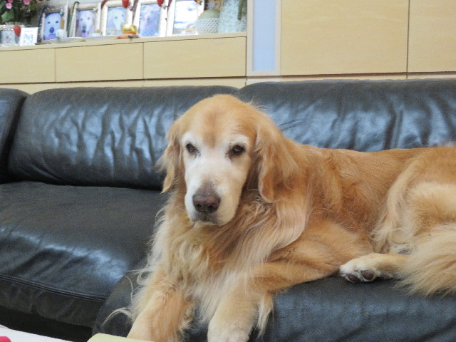 ファイル 5770-3.jpg