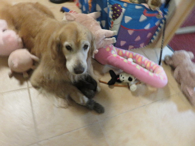 ファイル 5770-4.jpg