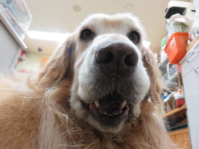 ファイル 5770-5.jpg