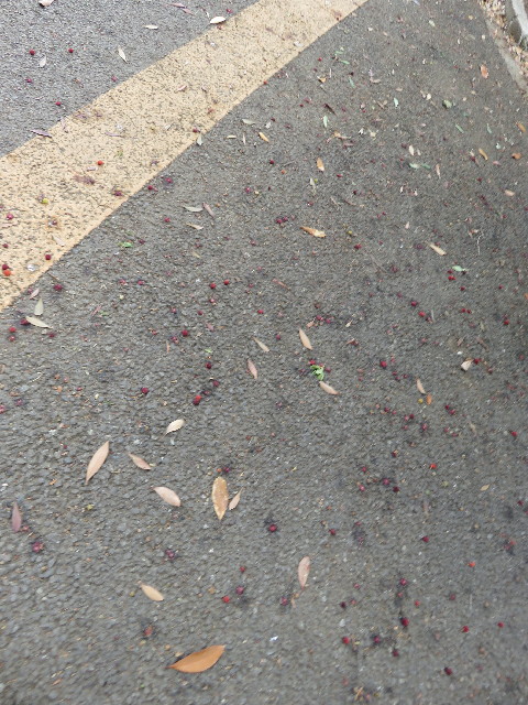 ファイル 5771-2.jpg