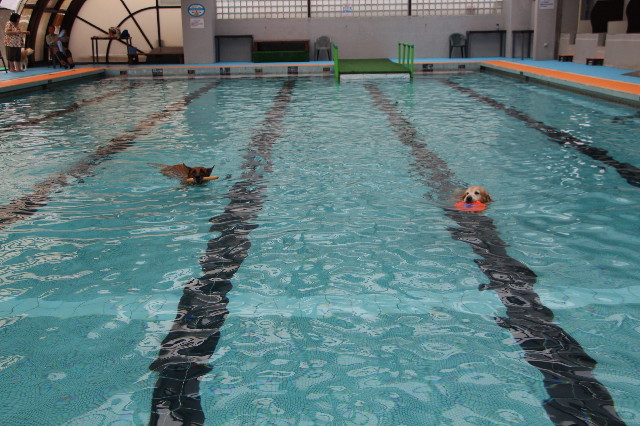 ファイル 5772-2.jpg