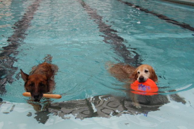 ファイル 5772-5.jpg