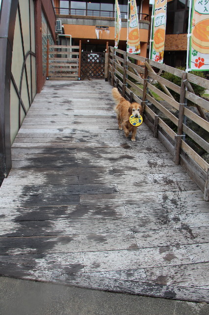 ファイル 5773-4.jpg