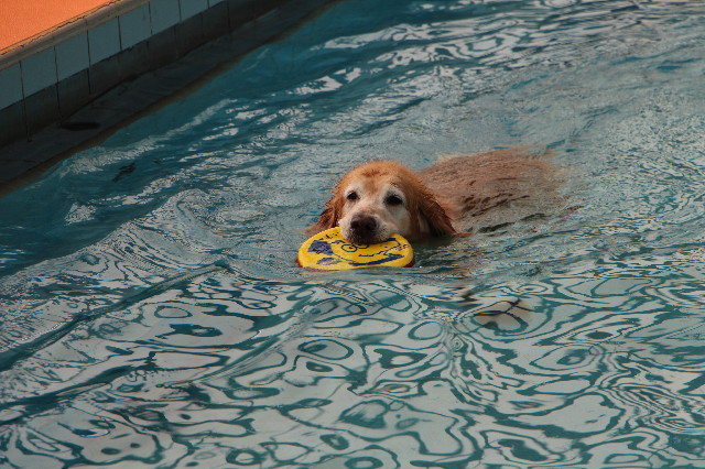 ファイル 5773-5.jpg