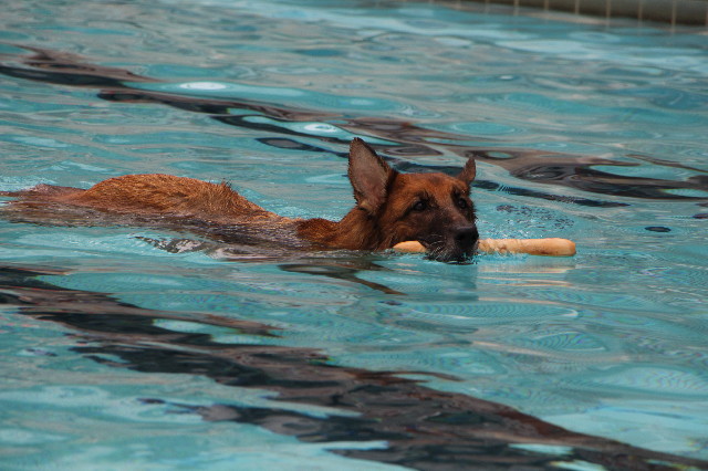 ファイル 5774-1.jpg