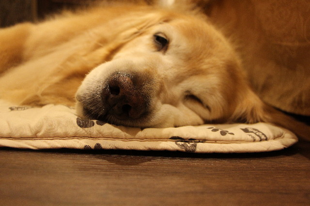 ファイル 5775-2.jpg