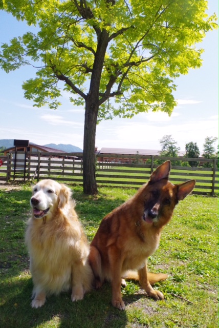 ファイル 5775-3.jpg