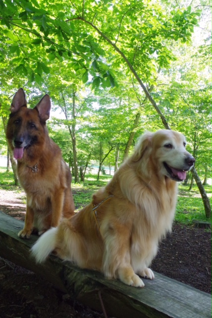 ファイル 5775-4.jpg