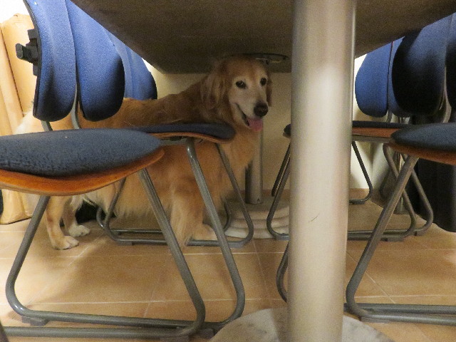 ファイル 5776-2.jpg