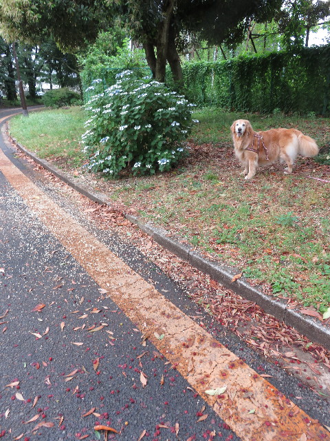 ファイル 5776-3.jpg