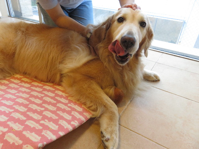 ファイル 5777-4.jpg