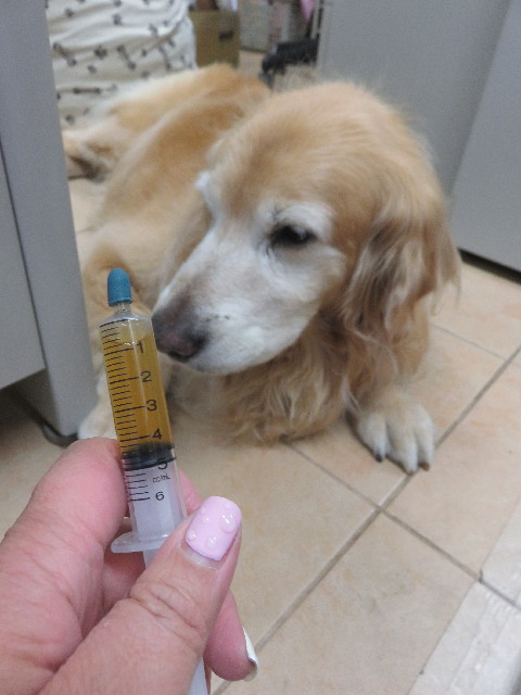 ファイル 5778-1.jpg