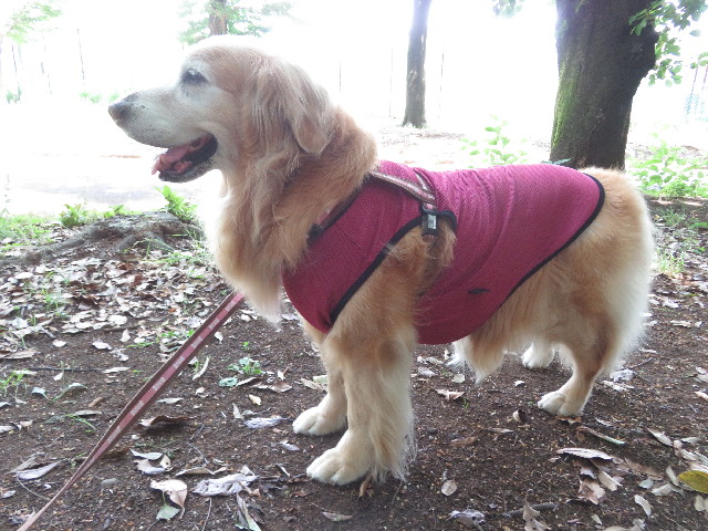 ファイル 5778-3.jpg