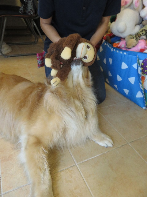 ファイル 5778-4.jpg