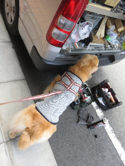 ファイル 5779-2.jpg