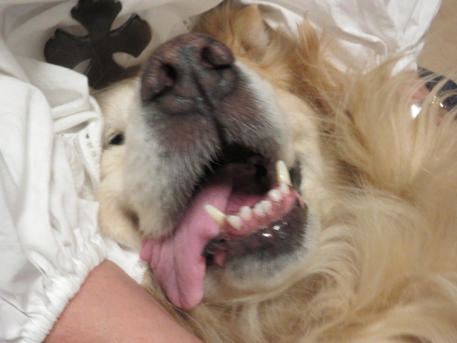 ファイル 5779-4.jpg