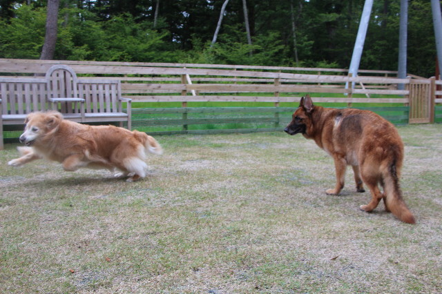 ファイル 5779-5.jpg