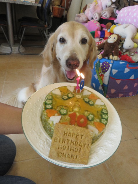 ファイル 5780-4.jpg