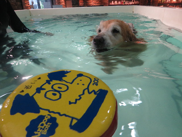 ファイル 5783-3.jpg