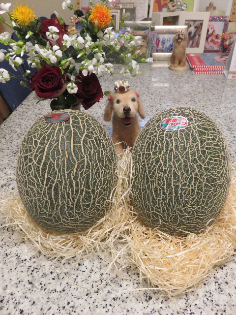 ファイル 5783-5.jpg