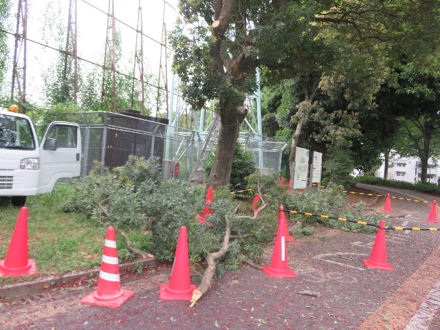 ファイル 5785-5.jpg