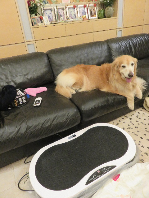 ファイル 5786-1.jpg