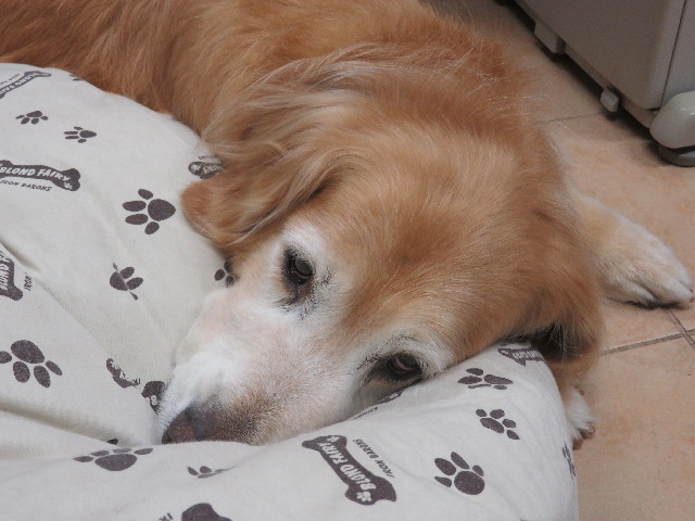 ファイル 5787-1.jpg