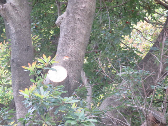 ファイル 5787-2.jpg