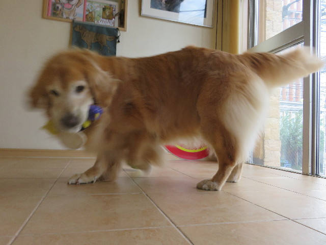 ファイル 5789-4.jpg