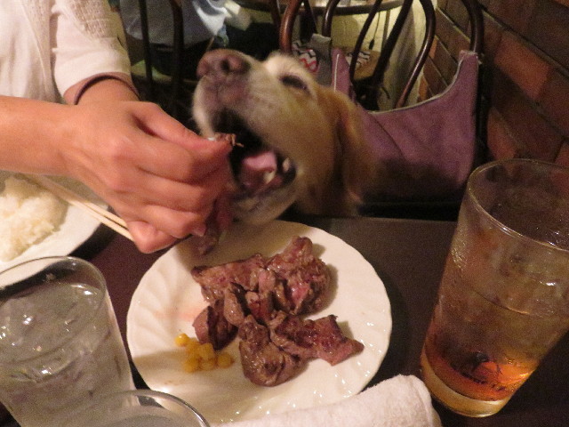 ファイル 5791-3.jpg