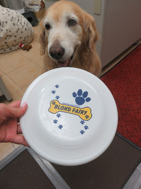 ファイル 5792-2.jpg