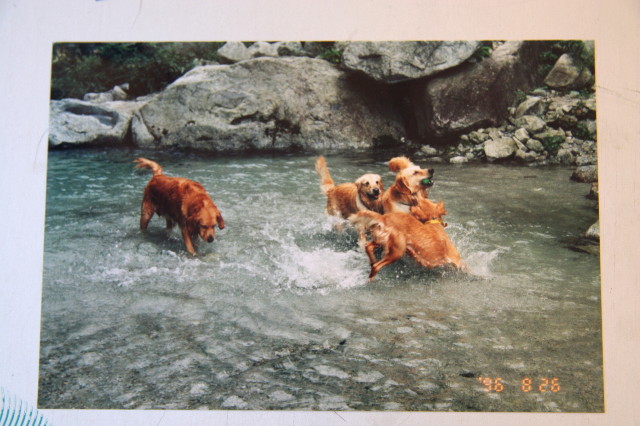 ファイル 5792-5.jpg