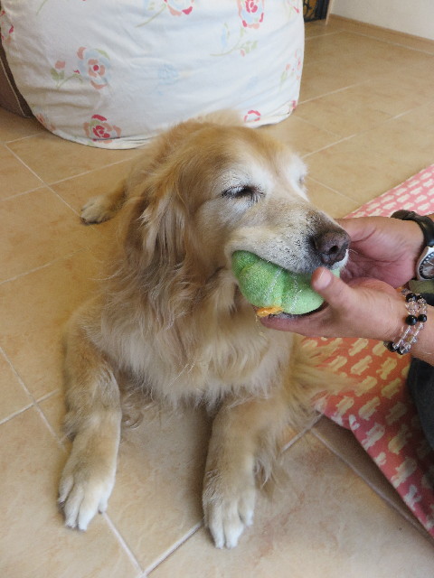 ファイル 5793-5.jpg