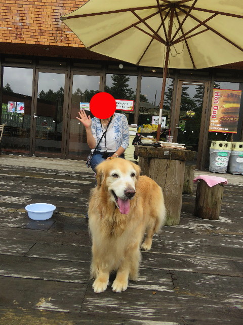 ファイル 5795-2.jpg