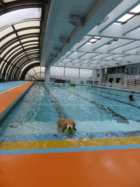 ファイル 5795-3.jpg