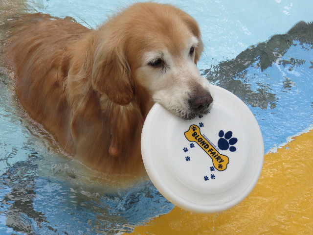 ファイル 5795-4.jpg