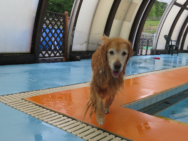 ファイル 5796-1.jpg