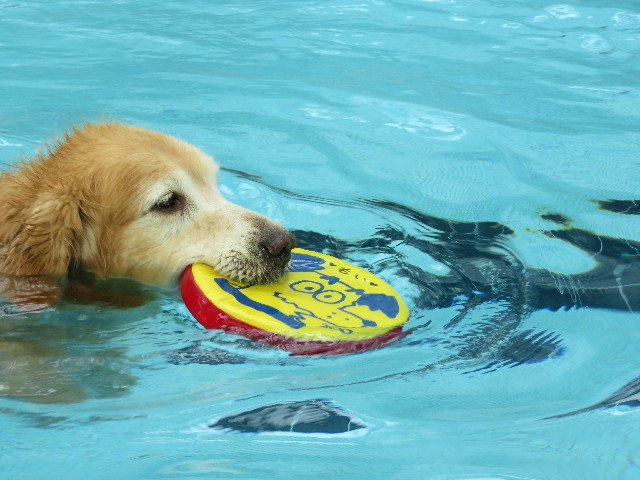 ファイル 5796-2.jpg