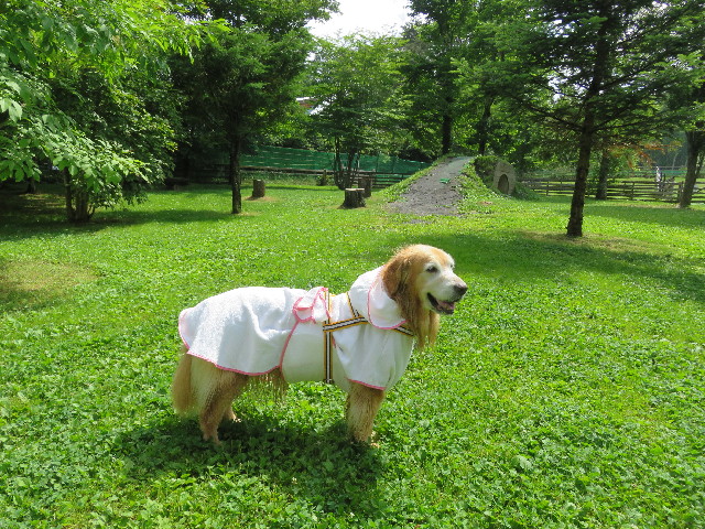 ファイル 5796-3.jpg