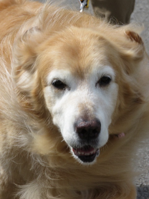 ファイル 5796-5.jpg