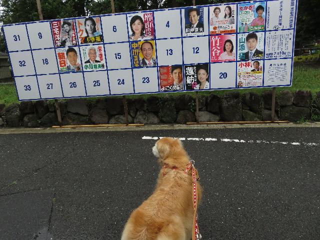 ファイル 5798-3.jpg